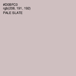 #D0BFC0 - Pale Slate Color Image